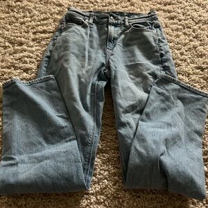 American Eagle Outfitters Blue Flare Wide Leg Jeans